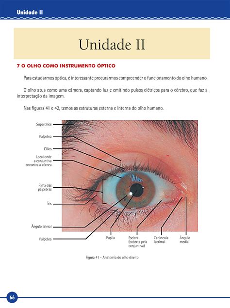 Livro Texto Unidade Ii Unidade Ii Unidade Ii O Olho Como