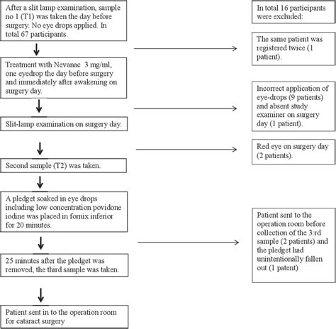 Flow Chart Of Inclusion And Exclusion Of Participants To The Study