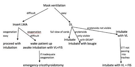 Airway Management Flowchart Oelm Optimal External Laryngeal