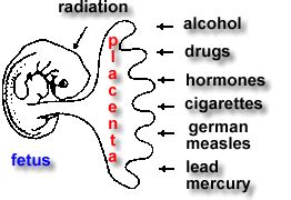 Teratogens; Embryotoxins; Fetotoxins