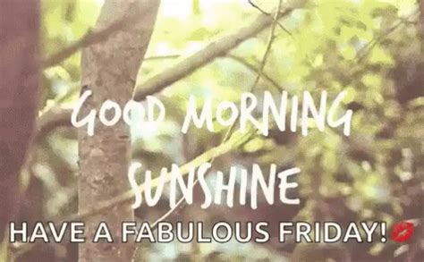 Good Morning Sunshine Have A Fabulous Friday GIF - Good Morning ...