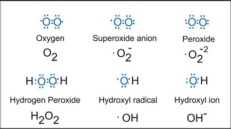 Draw The Lewis Structure For Hydrogen Peroxide H2o2