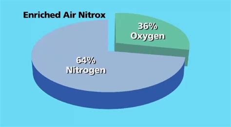 Enriched Air Nitrox Diagram Quizlet