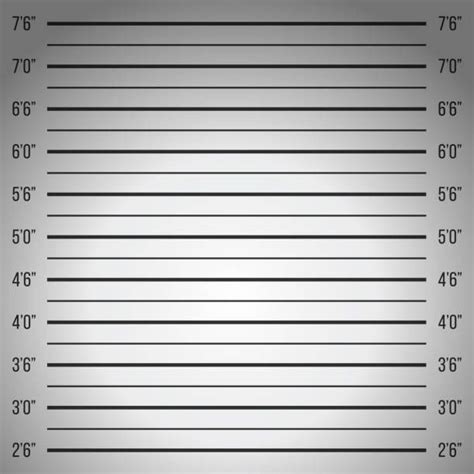 Blank Mugshot Board