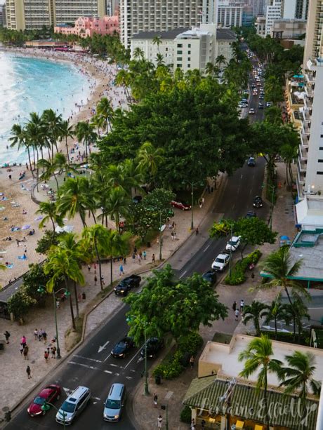 Waikiki Hotels Hilton Hawaiian Village Laylow Alohilani Halepuna Not