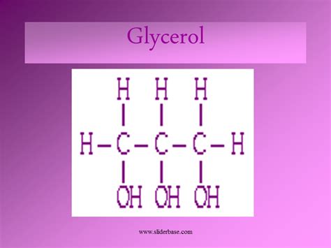 Lipids Presentation Biology