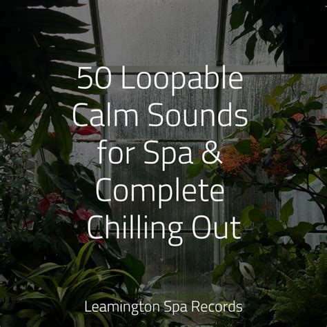 Loopable Calm Sounds For Spa Complete Chilling Out Album By A