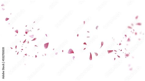 Beautiful Floral Overlay With Flying Pink Petals At Transparent