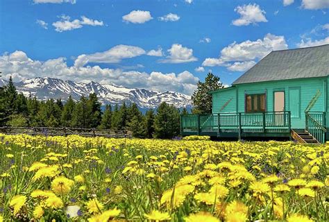 Historic Skiers Hut Photograph By Dave Woodman Fine Art America