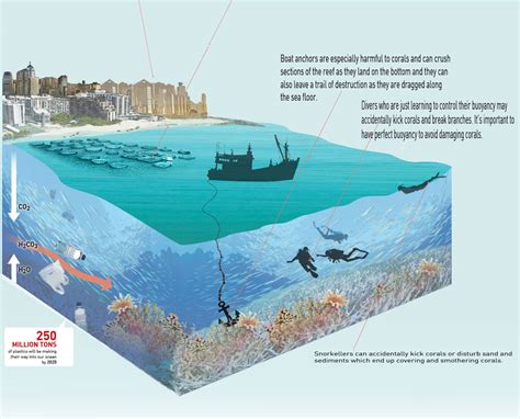 6 Threats To Corals Underwater360