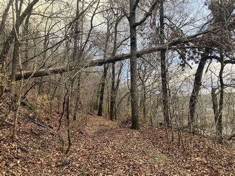 Taking the ISA Certified Arborist exam next week. Any advice? : r/arborists