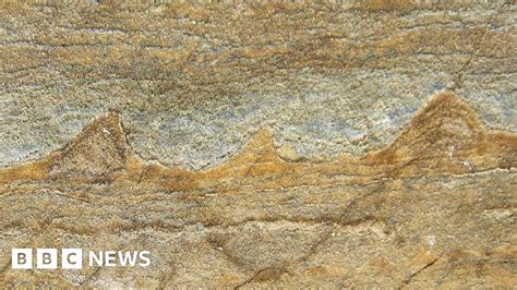 Wavy Greenland Rock Features Are Oldest Fossils BBC News