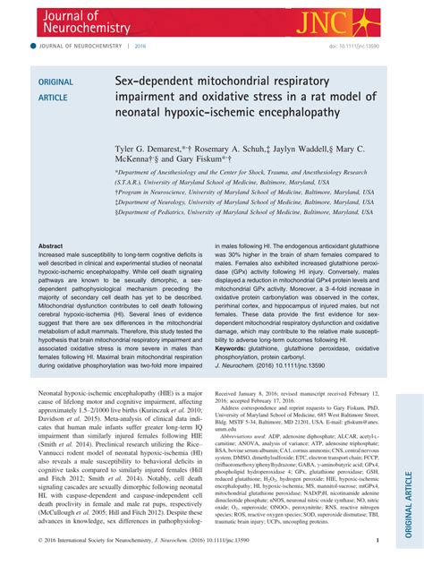Pdf Sex Dependent Mitochondrial Respiratory Impairment And Oxidative Stress In A Rat Model Of