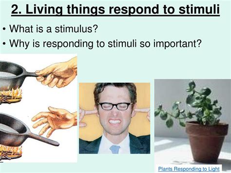 PPT - Unit 1: the Science of Life Ch. 2: Features of Life & the Cell ... 