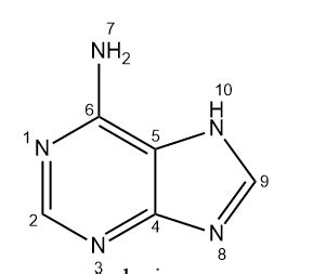 Assign An Electron Geometry To Each Interior Atom In Adenine Study