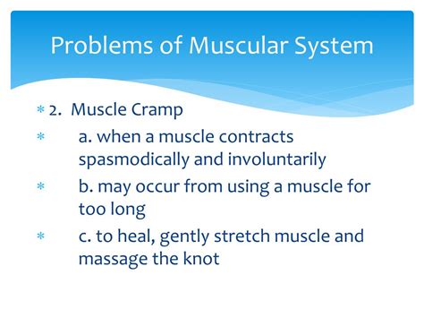 Ppt The Muscular System Powerpoint Presentation Free Download Id