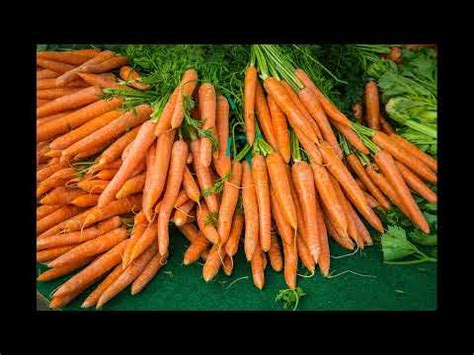 Нефропротектор при отложении камней в почках, Морковь - YouTube