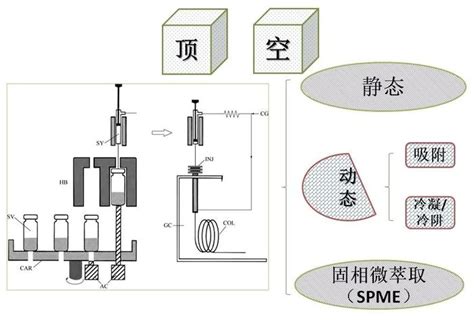 顶空技术与气相色谱分析 资讯详情