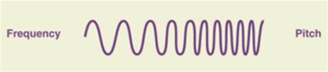 Characteristics of Sound Waves: Frequency Flashcards | Quizlet