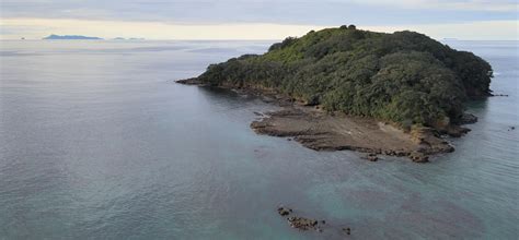 Home | Goat Island Marine Reserve | New Zealand