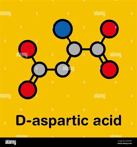 D Aspartic Acid D Aspartate Amino Acid Molecule Stylized Skeletal Formula Chemical Structure