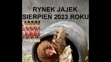 Odcinek 974 RYNEK JAJEK SIERPIEŃ 2023 ROKU SPADKI SPRZEDAŻY I TOWAR ZE