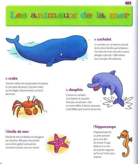 les animaux de la mer 1 Source Mon premier dictionnaire de Français