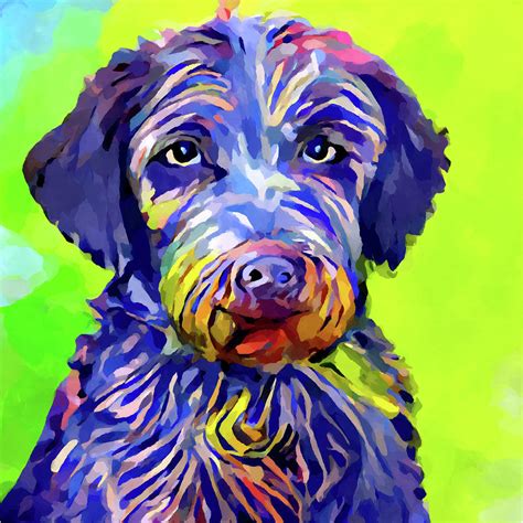 Portuguese Water Dog Puppy Painting By Chris Butler Fine Art America