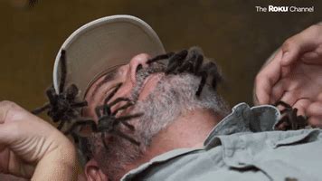 Naked And Afraid No By Discovery