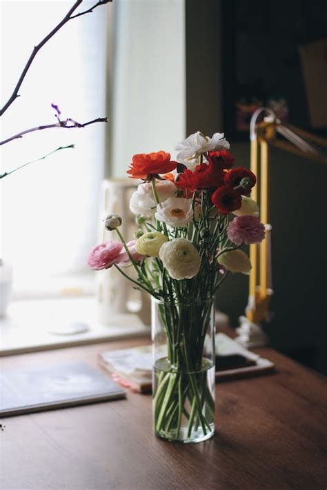 A Bouquet of Poppy Flowers · Free Stock Photo