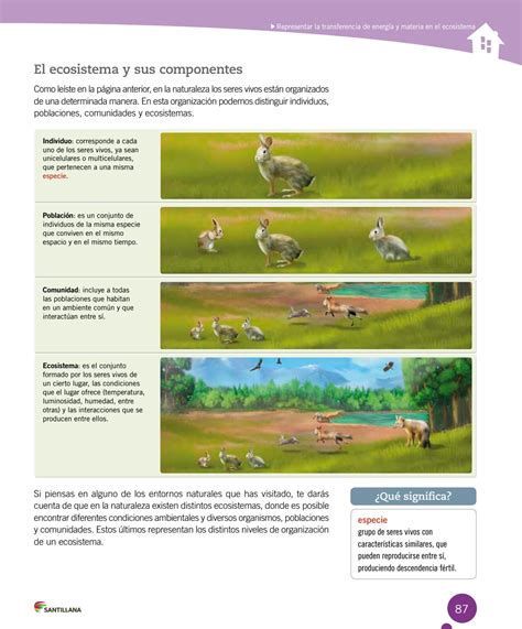 Ciencias Naturales By Kiara Endara Issuu