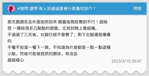 發問 請問 有人知道這是被什麼蟲咬到ㄇ？ 問答板 Dcard