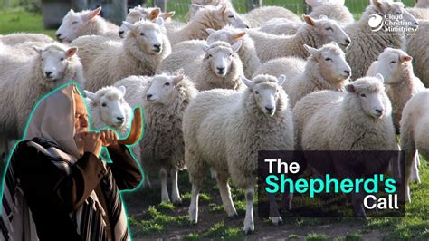 The Shepherd S Call 📣🐑 Youtube