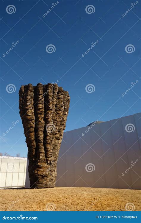 RALEIGH,NC/USA - 1-11-2019: View of the Exterior of the North Carolina Museum of Art and ...