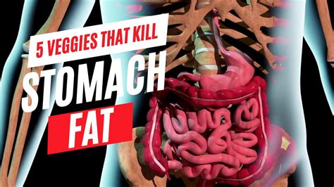 5 Veggies That Kill Stomach Fat Adding These To You Diet Can Help You Achieve You Weight Loss