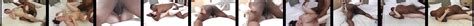 Sabine Takes Black Cock Free Free Black Tube Porn Video 78 XHamster
