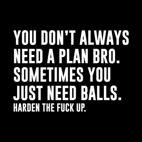 You Dont Always Need A Plan Bro Sometimes You Just Need Balls