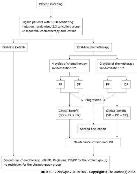 Sequential Chemotherapy And Icotinib As First Line Treatment For