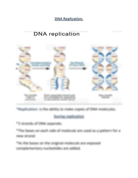 Solution Dna Structure And Function Studypool