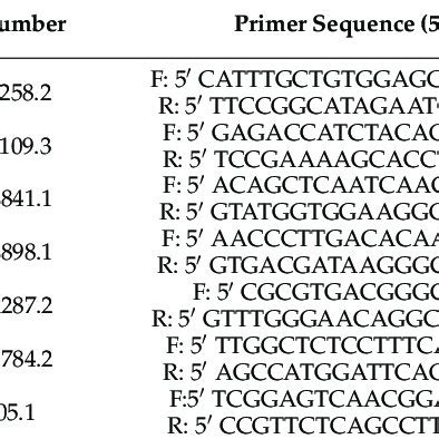 Primer Sequences And Amplicon Sizes For Target Lipid Metabolism Related