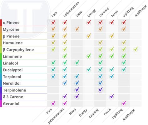 Pin by M B on Terpenes | Terpenes, Map, Chart