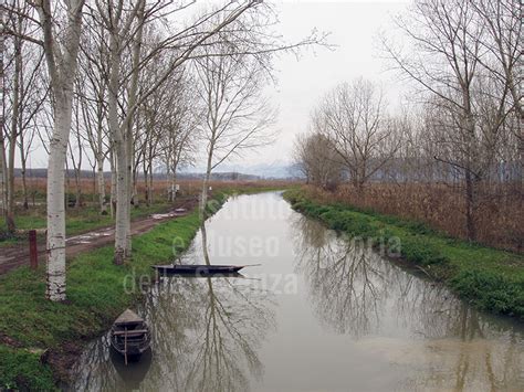 Immagine Riserva Naturale Padule Di Fucecchio Area Le More