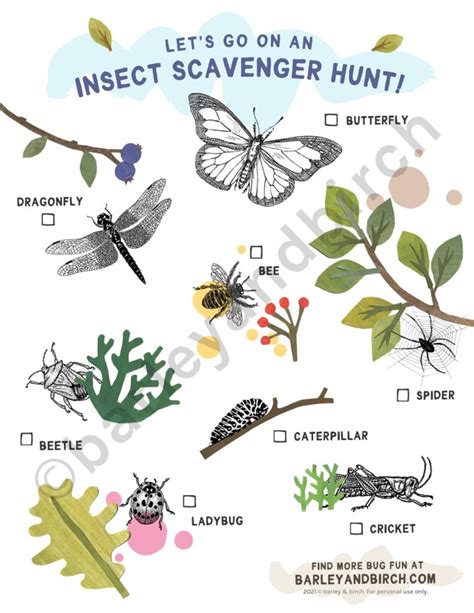 Free Printable Insect Scavenger Hunt Bundle Barley And Birch