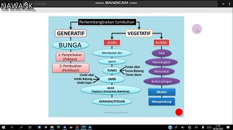 Peta Konsep Perkembang Biakan Tumbuhan Youtube