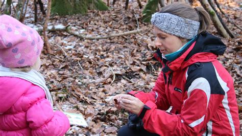 Schwabmünchen: Der Wald ist "wie ein Kindergarten ohne Türen"