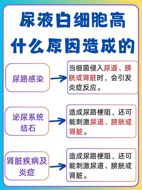 尿液白细胞高是什么原因造成的妙手医生