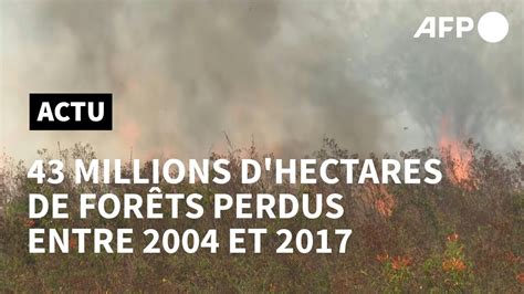 D Forestation Millions D Hectares Perdus Sur Les Principaux Fronts