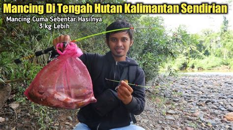 Full Strike Mancing Nilem Di Hutan Kalimantan Dengan Pancing Buatan