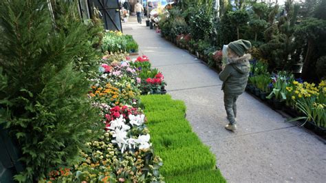 Family-Friendly Walking Tour of NYC's Flower District - Mommy Nearest