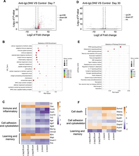 Whole Genome Transcriptomic Analyses A Volcano Plot Of Differentially Download Scientific